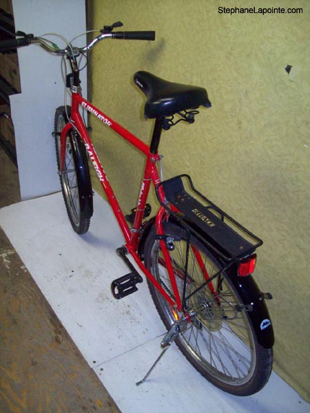 Vélo Raleigh Eliminator - StephaneLapointe.com
