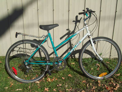 Vélo Skyline Grizzly - StephaneLapointe.com