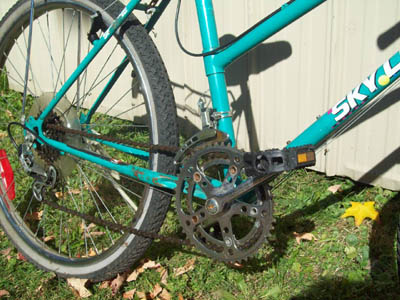 Vélo Skyline Grizzly - StephaneLapointe.com