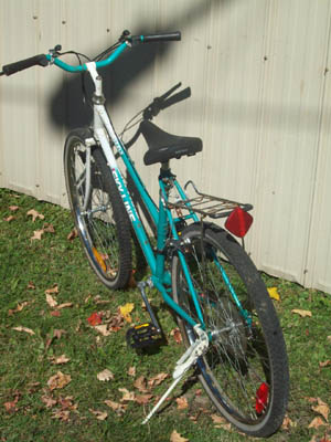 Vélo Skyline Grizzly - StephaneLapointe.com