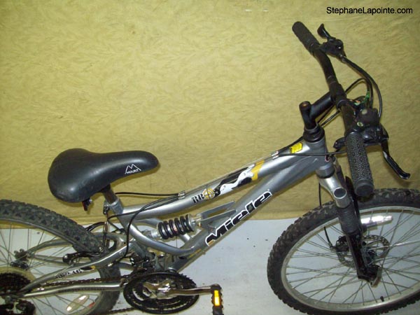 Vélo Miele BB 246 - StephaneLapointe.com
