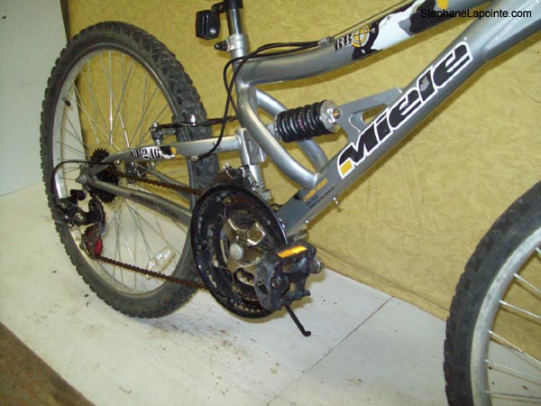 Vélo Miele BB 246 - StephaneLapointe.com