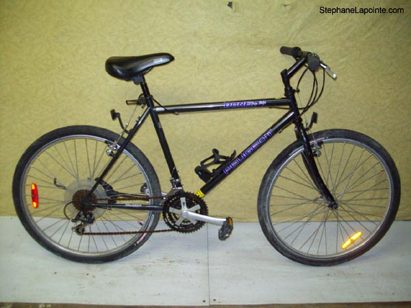 Vélo Peugeot Dune - StephaneLapointe.com