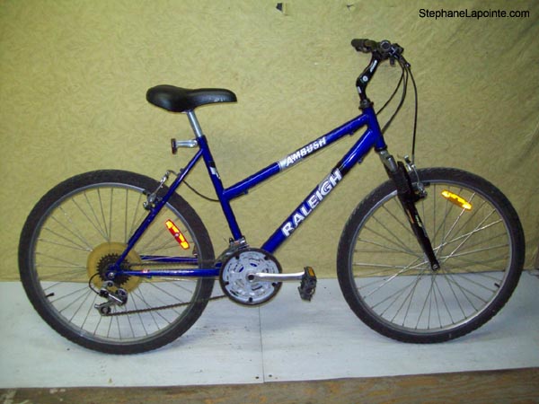 Vélo Raleigh Ambush - StephaneLapointe.com