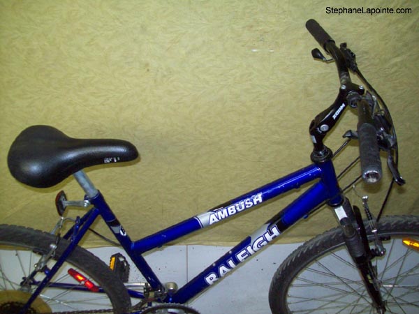 Vélo Raleigh Ambush - StephaneLapointe.com