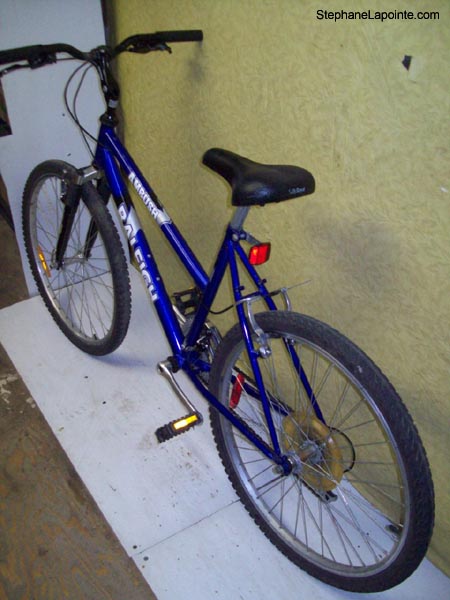 Vélo Raleigh Ambush - StephaneLapointe.com