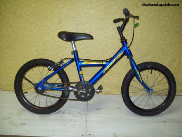 Vélo Leader Mosquito - StephaneLapointe.com
