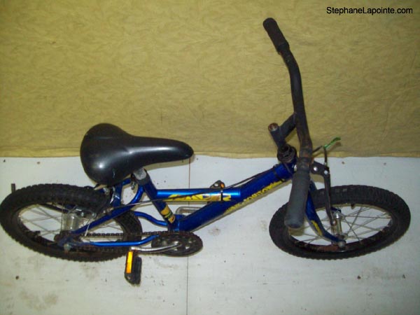 Vélo Leader Mosquito - StephaneLapointe.com