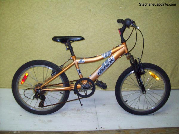 Vélo Raleigh Rock - StephaneLapointe.com
