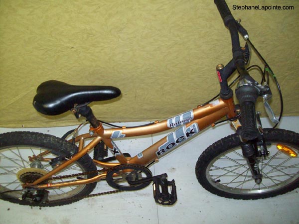Vélo Raleigh Rock - StephaneLapointe.com