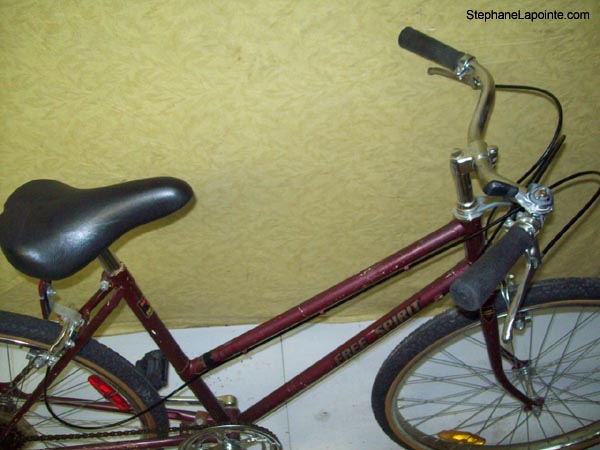 Vélo Free Spirit Town and Country - StephaneLapointe.com