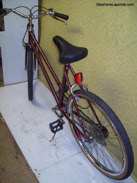 Vélo Free Spirit Town and Country - StephaneLapointe.com