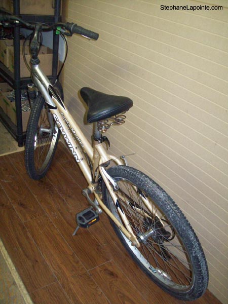 Vélo Schwinn Santa Monica - StephaneLapointe.com
