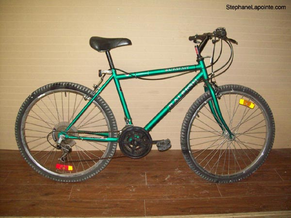 Vélo Raleigh Summit - StephaneLapointe.com