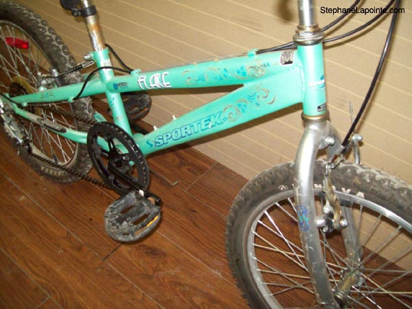 Vélo Sportek Flare - StephaneLapointe.com