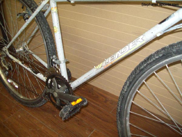 Vélo Leader LE70745 - StephaneLapointe.com