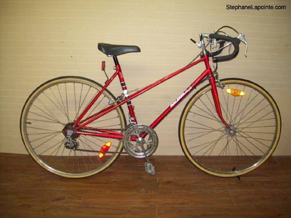 Vélo Raleigh Royale - StephaneLapointe.com