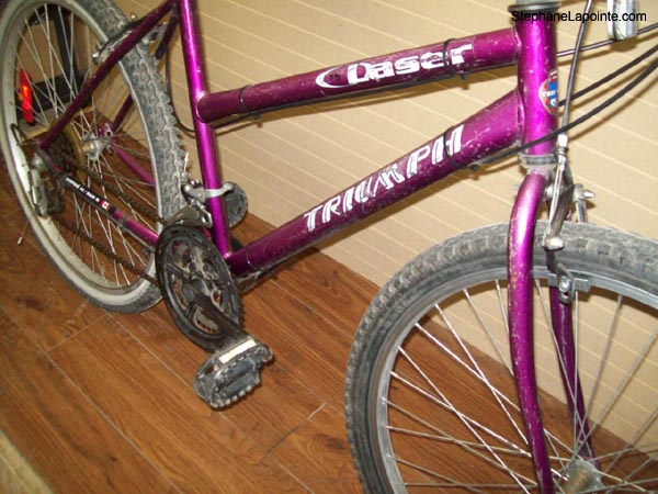 Vélo Triumph Laser - StephaneLapointe.com