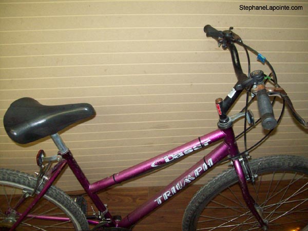 Vélo Triumph Laser - StephaneLapointe.com