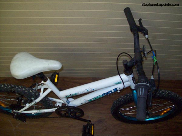 Vélo Supercycle FlyGirl - StephaneLapointe.com