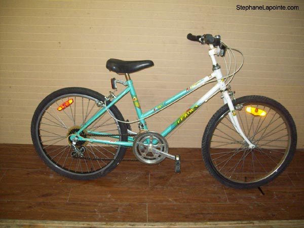 Vélo Leader LE 10751 - StephaneLapointe.com