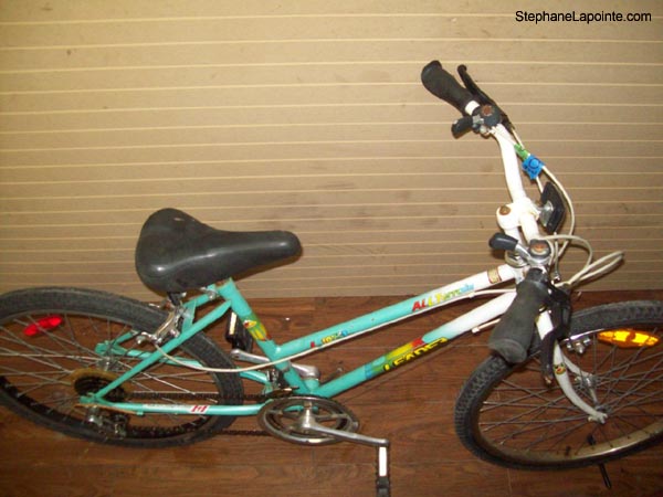 Vélo Leader LE 10751 - StephaneLapointe.com