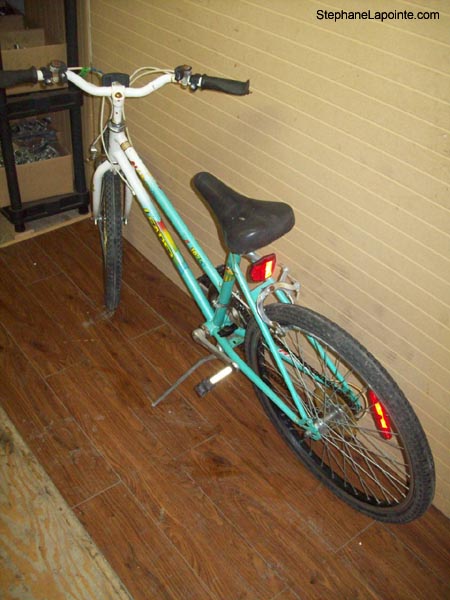 Vélo Leader LE 10751 - StephaneLapointe.com
