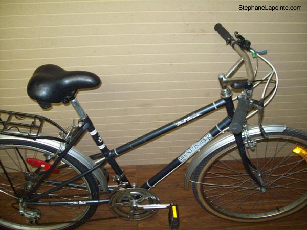 Vélo Venture Road Runner - StephaneLapointe.com