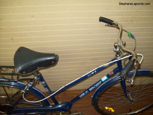 Vélo Velo Sport Express 6 - StephaneLapointe.com