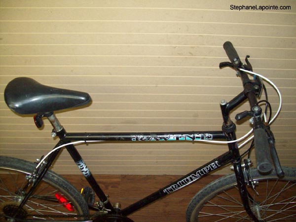 Vélo Triumph Ravine - StephaneLapointe.com