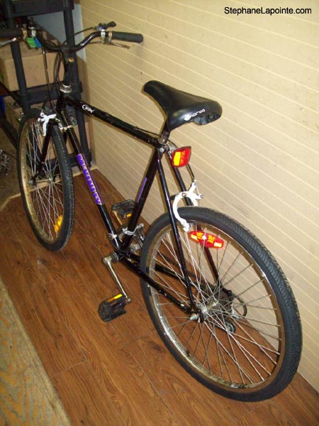 Vélo McKinley Orion - StephaneLapointe.com