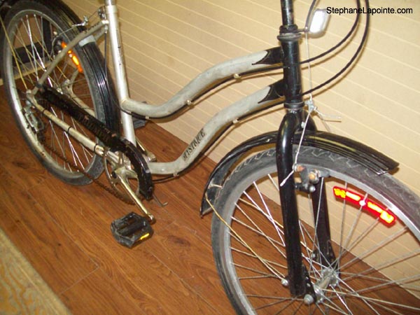 Vélo Triumph Mystique - StephaneLapointe.com