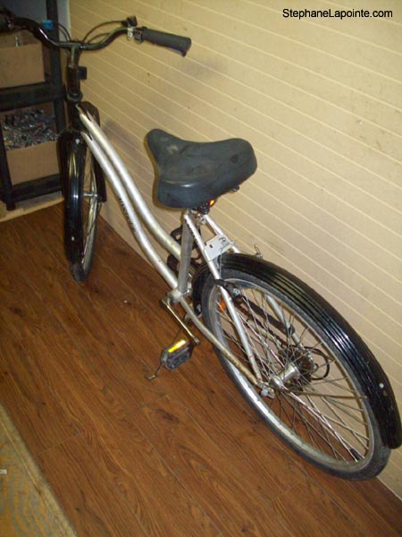 Vélo Triumph Mystique - StephaneLapointe.com