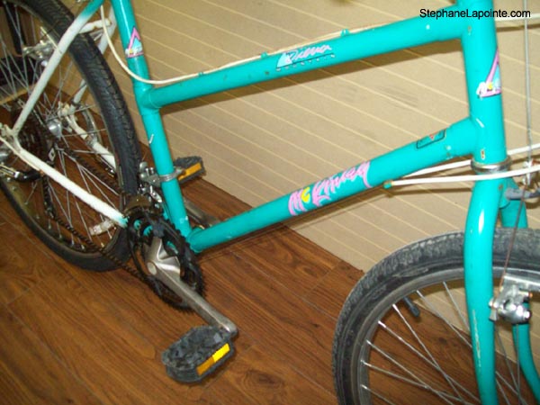Vélo McKinley Sierra - StephaneLapointe.com