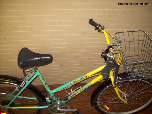 Vélo Leader LE 6051 - StephaneLapointe.com