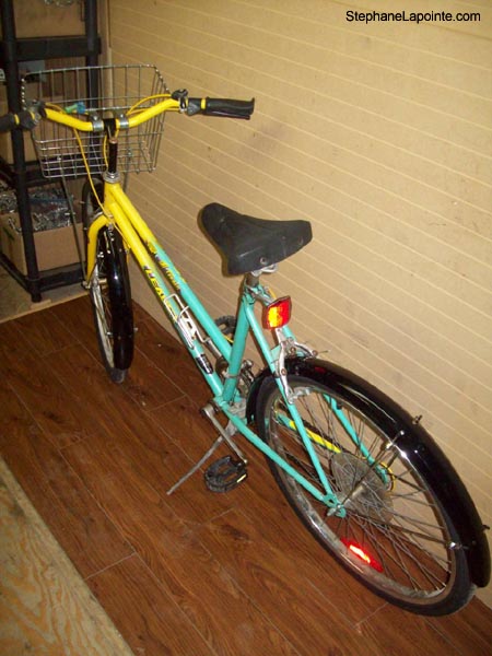 Vélo Leader LE 6051 - StephaneLapointe.com