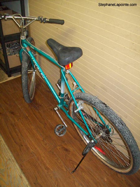 Vélo McKinley Java - StephaneLapointe.com