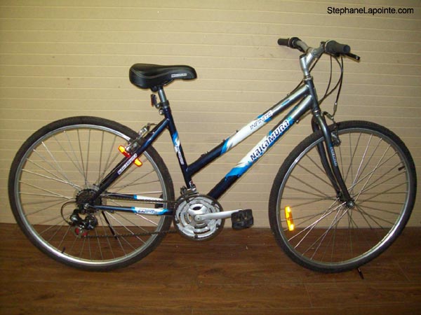 Vélo Nakamura Infinite - StephaneLapointe.com