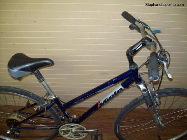 Vélo Miele Toscana S1 - StephaneLapointe.com