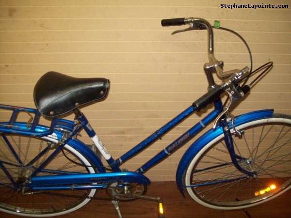 Vélo Raleigh Colt - StephaneLapointe.com