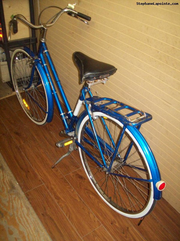 Vélo Raleigh Colt - StephaneLapointe.com