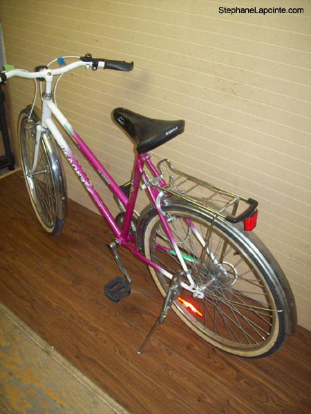 Vélo Leader LE 60706 - StephaneLapointe.com