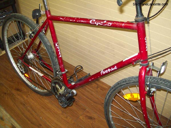 Vélo Cyclo Avenue - StephaneLapointe.com