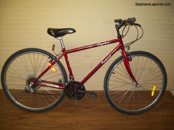 Vélo Cyclo Avenue - StephaneLapointe.com