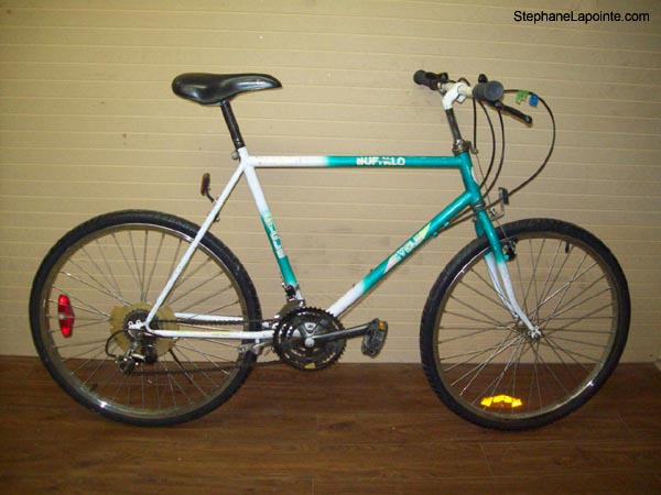 Vélo Cyclo Buffalo - StephaneLapointe.com
