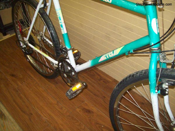 Vélo Cyclo Buffalo - StephaneLapointe.com