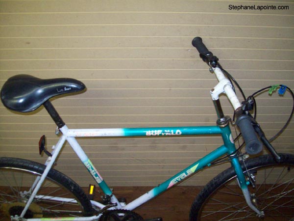 Vélo Cyclo Buffalo - StephaneLapointe.com