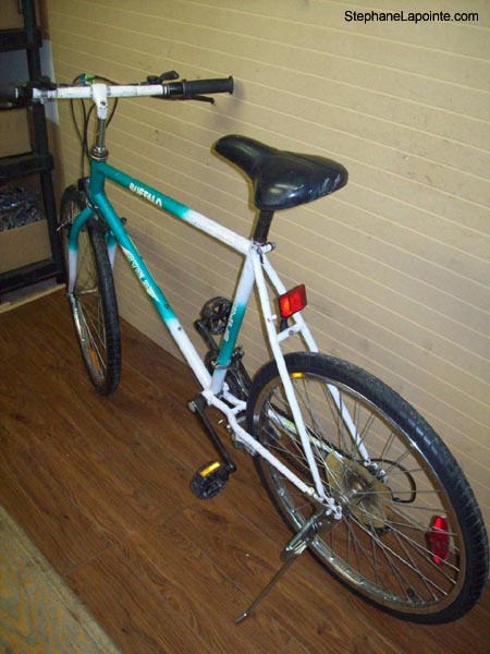 Vélo Cyclo Buffalo - StephaneLapointe.com