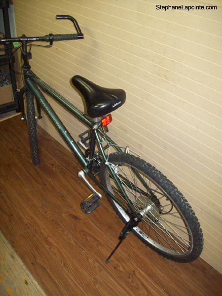 Vélo Precision PR 6045 - StephaneLapointe.com