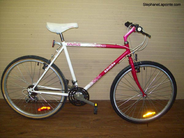 Vélo Steve Bauer Caurus - StephaneLapointe.com